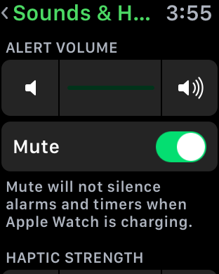 Apple Watch Sounds & Haptic Settings