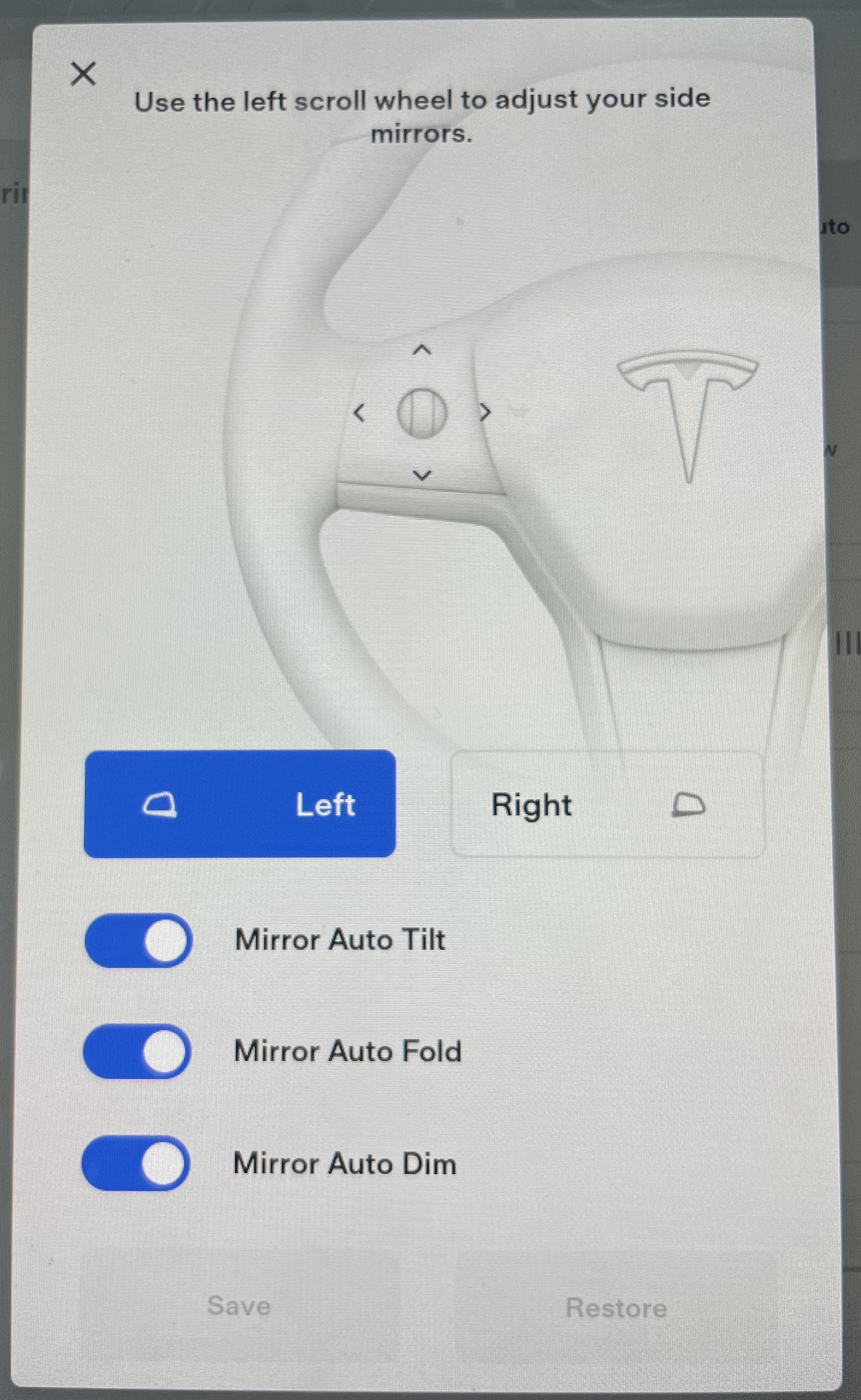 Tesla Auto-Dim