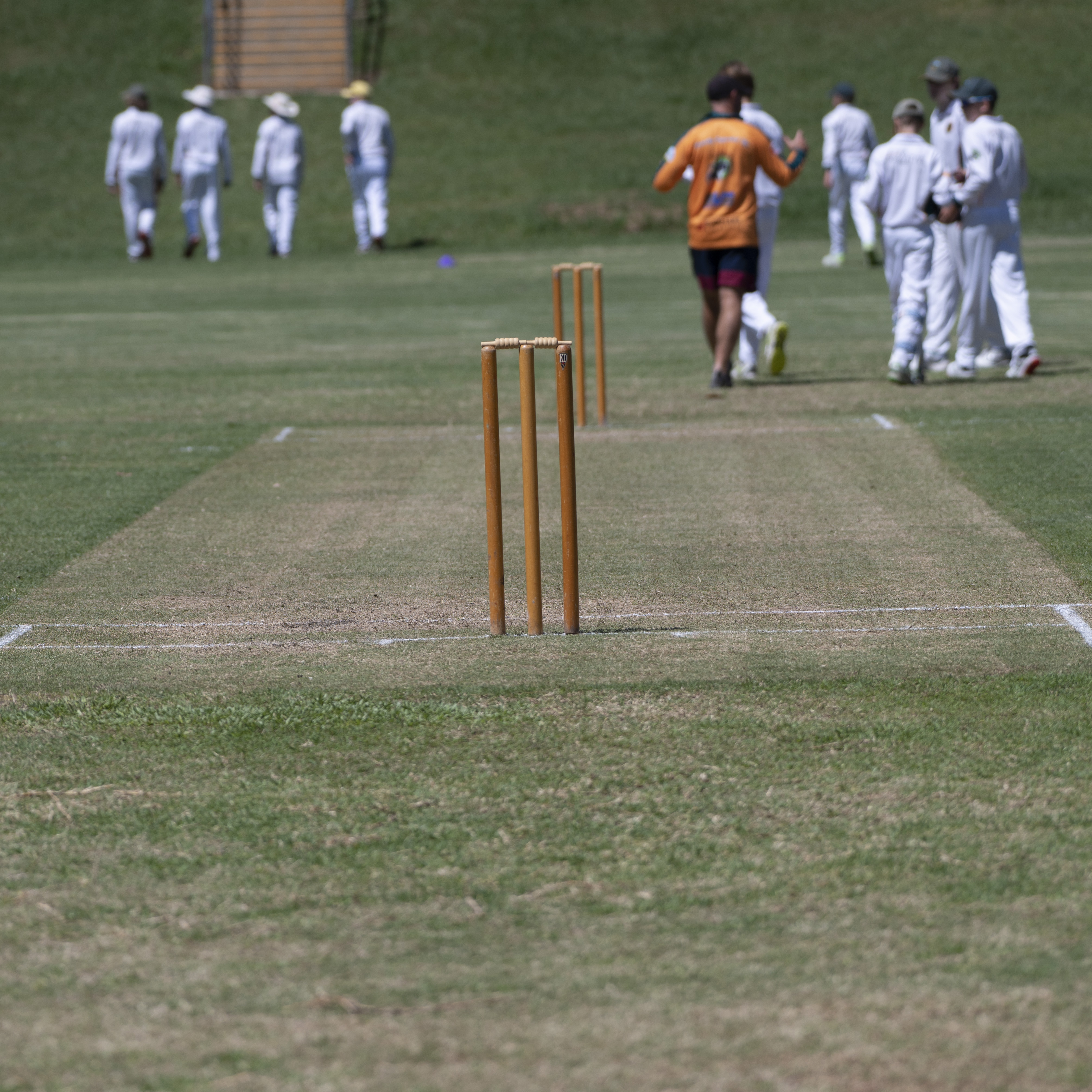 Cricket Pitch After Innings